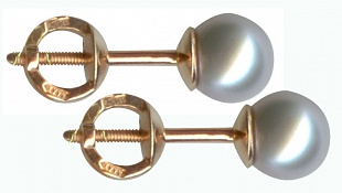  299